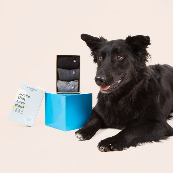 Socks that Save Dogs