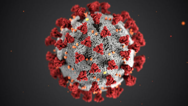 Bacterial Infections
