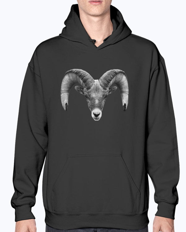 Bighorn Sheep, Wyldlife for Tomorrow, Moss Apparel, Hoodie